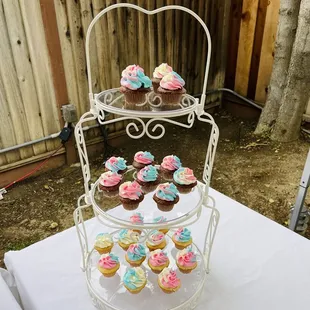 Beautiful pastel cupcakes for LOL themed birthday party.