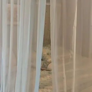 The romantic bed