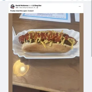 sandwich, hot dogs, food, hot dog