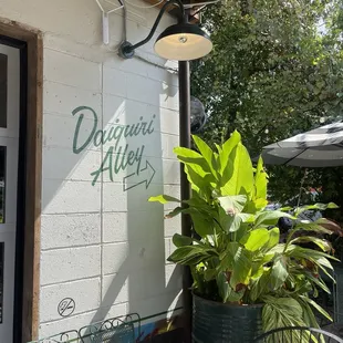 Daiquiri Alley