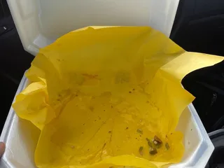 Solsage Food Truck