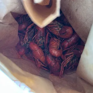 About 5lbs worth of