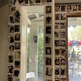 a mirror covered in photos