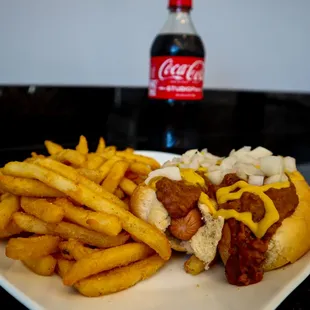 a hot dog and french fries