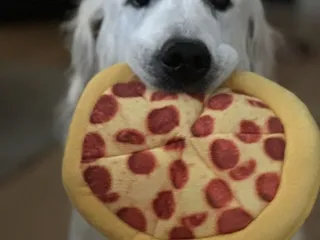 Antonio's Pizza Pasta Wings