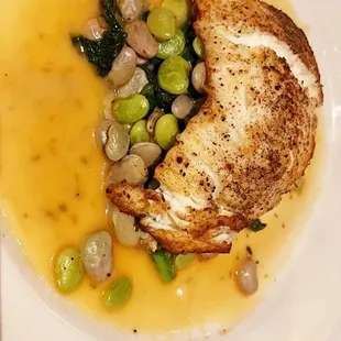 Halibut