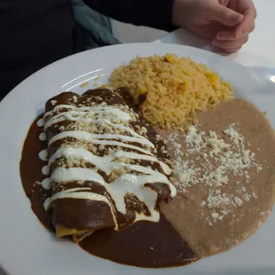 Mole enchiladas