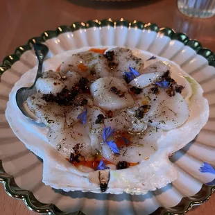 Scallop crudo