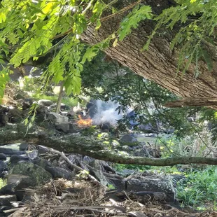 Someone set a fire in the botanical garden while we were there. Fire department was called. ‍
