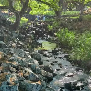 It&apos;s so beautiful and peaceful here!
