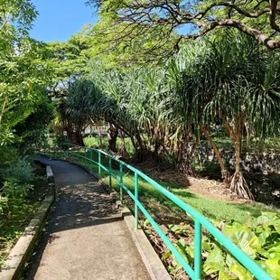 Scenic path