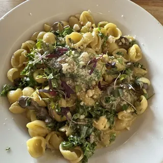 Spicy Orechiette Kale Alfredo