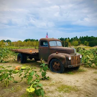 Old truck in the middle of the fields. Perfect if you want to take pics of the kids or families with it. Nice touch!