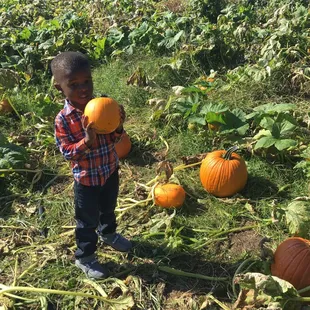 Found the perfect pumpkin