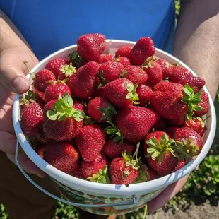 Quick and easy filling up a basket