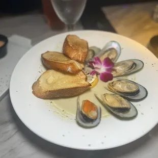 oysters and mussels, food, mussels, oysters, shellfish