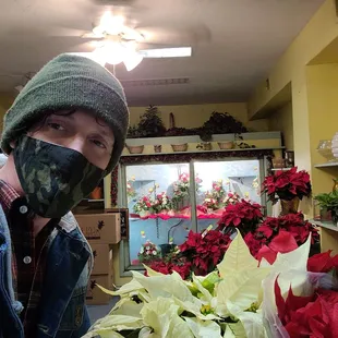 Picked up some poinsettias from Lillian's!