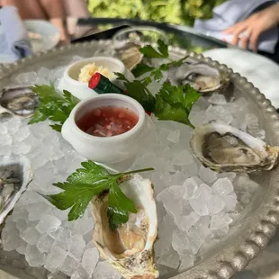 Oysters