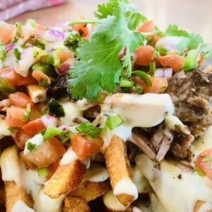 Brisket Fries