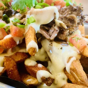 Brisket Fries