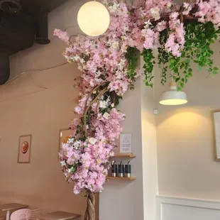 interior, salads