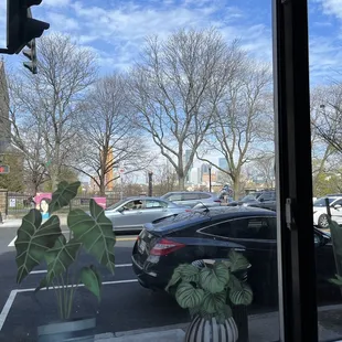 Painted plants on windows cool