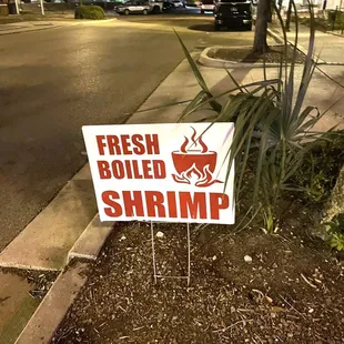 Shrimp