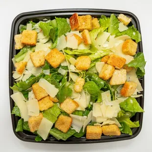 Cesar Salad