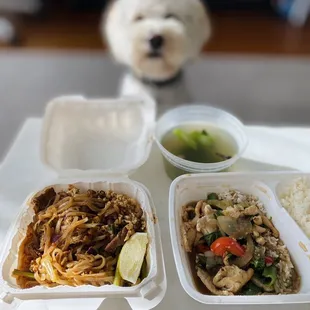 Pad Thai Lunch Special ( ONLY Mon-Friday)