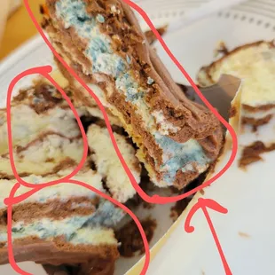 Disgusting Stale and Moldy Cake serving. Supposed to be a "mocha" cake flavor.