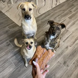 3 Homemade Dog Treats for Your Pooch