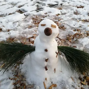 Lily, I'm looking for you. Daniel. 10 Y ago.