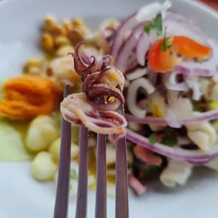a plate of food with a fork