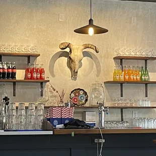 a bar with a cow skull on the wall