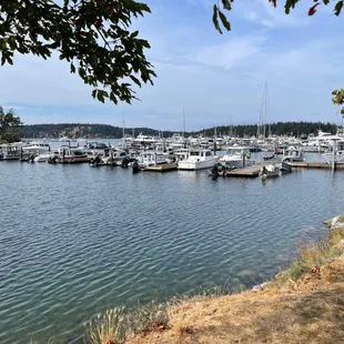 Docks at Roche Harbor