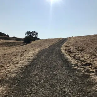 Ohlone Trail - Inclining right from the start