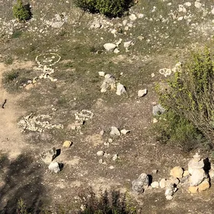 Rock art down below 3/13/21