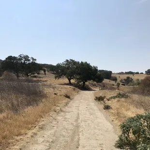 Ohlone Trail