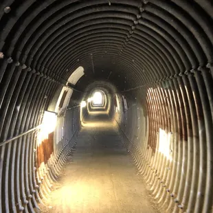 This Tunnel has lights - not scary!