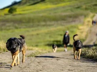 Shell Ridge Open Space