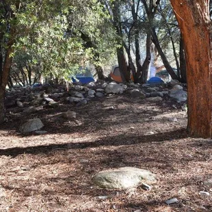 The campsite view from the river distance