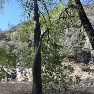 It looks so beautiful