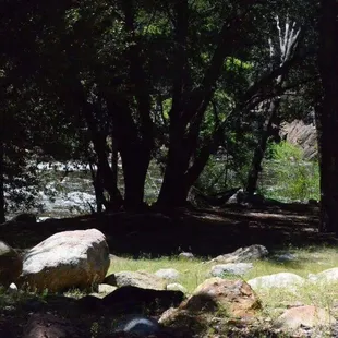 Beautiful shady spots and sunny spots to your desire