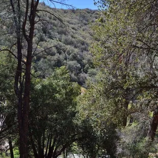 The views are amazing