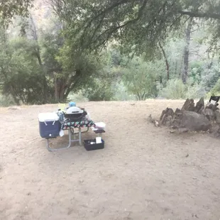 Site #7. big and shady