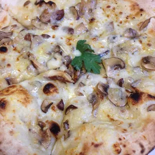 Mushroom Pizza
