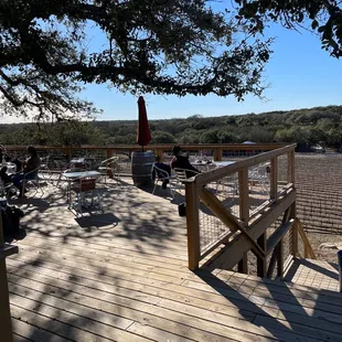 a view of the vineyard from the deck