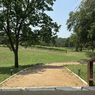 Views from the patio