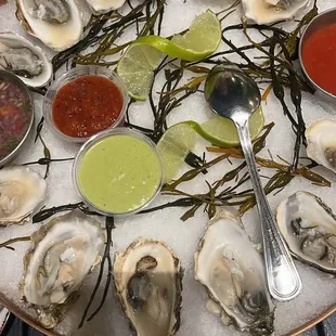 Dozen oysters