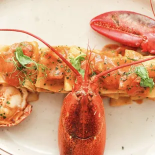 Pasta with fresh lobster